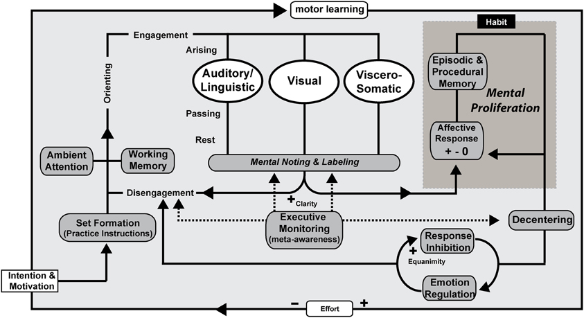 Understanding Emotion Regulation Strategies for Managing Anxiety and Depression